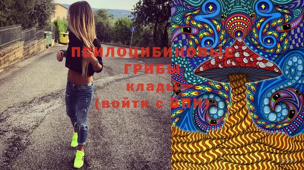 spice Армянск