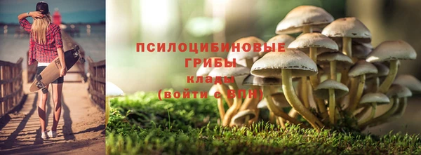 МДМА Арсеньев