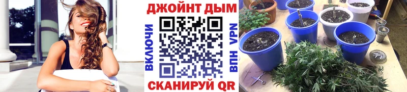 МАРИХУАНА план Глазов
